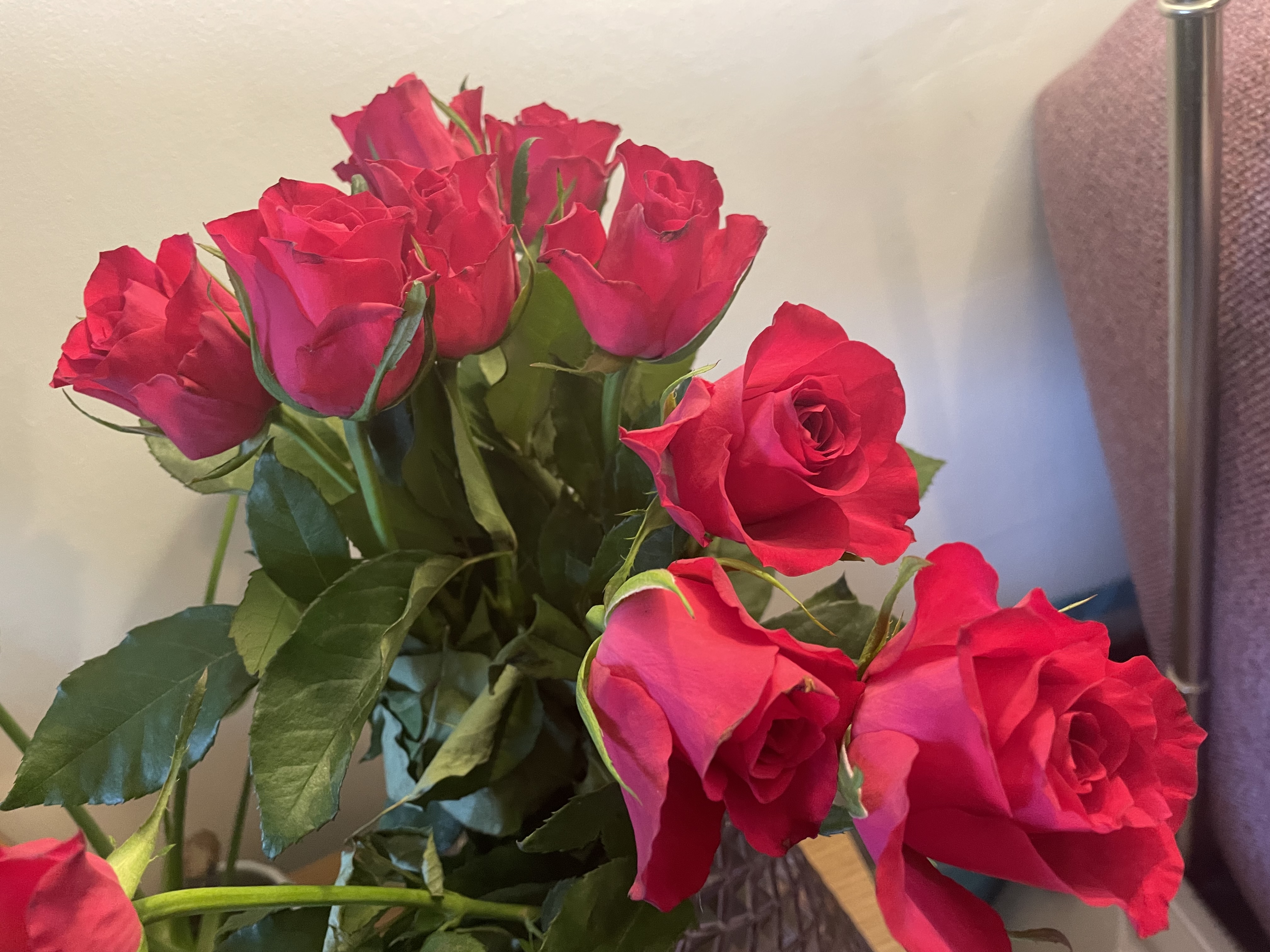 Roses